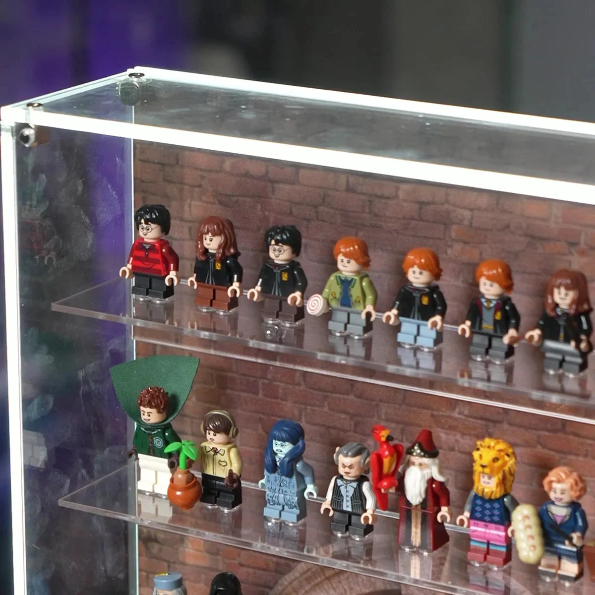Premium Wall Display Case for 124 LEGO® Harry Potter™ Minifigures - Détail exposition 9