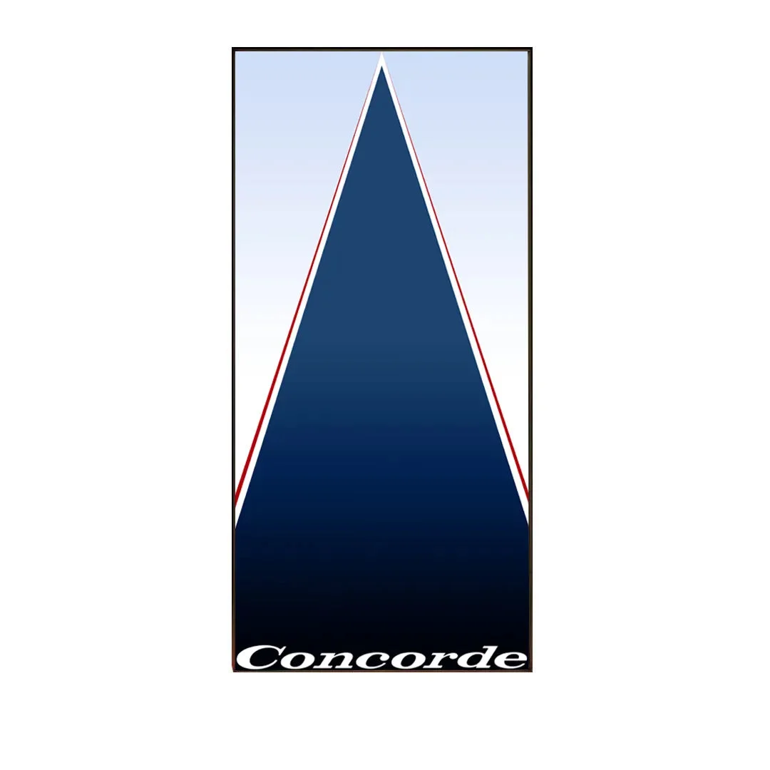 Premium Wall Display Frame for LEGO® Icons Concorde (10318) - Détail exposition 3