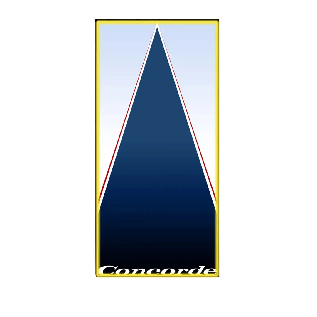 Premium Wall Display Frame for LEGO® Icons Concorde (10318) - Détail exposition 5